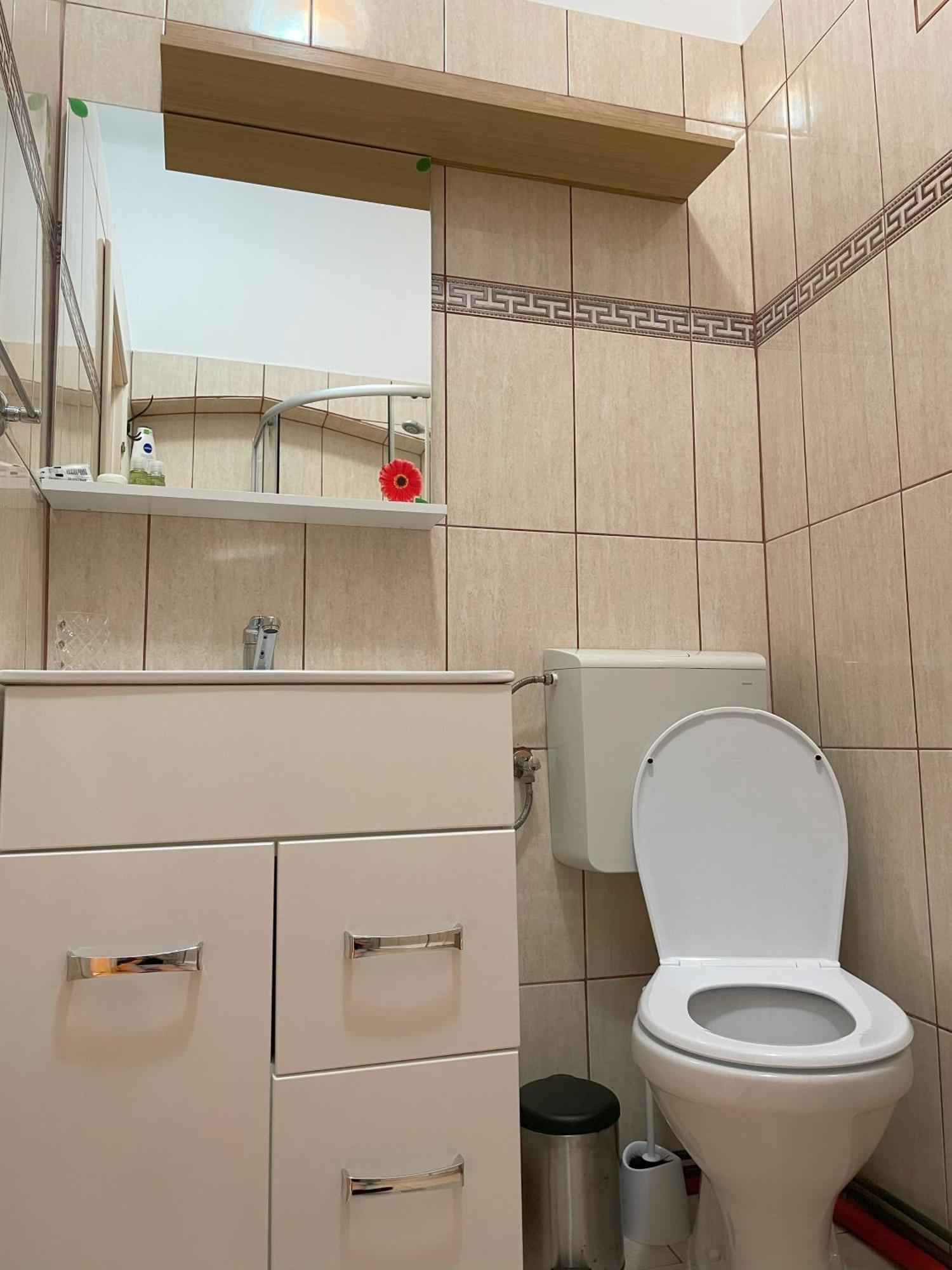 Studiopro44 Sibiu Dış mekan fotoğraf