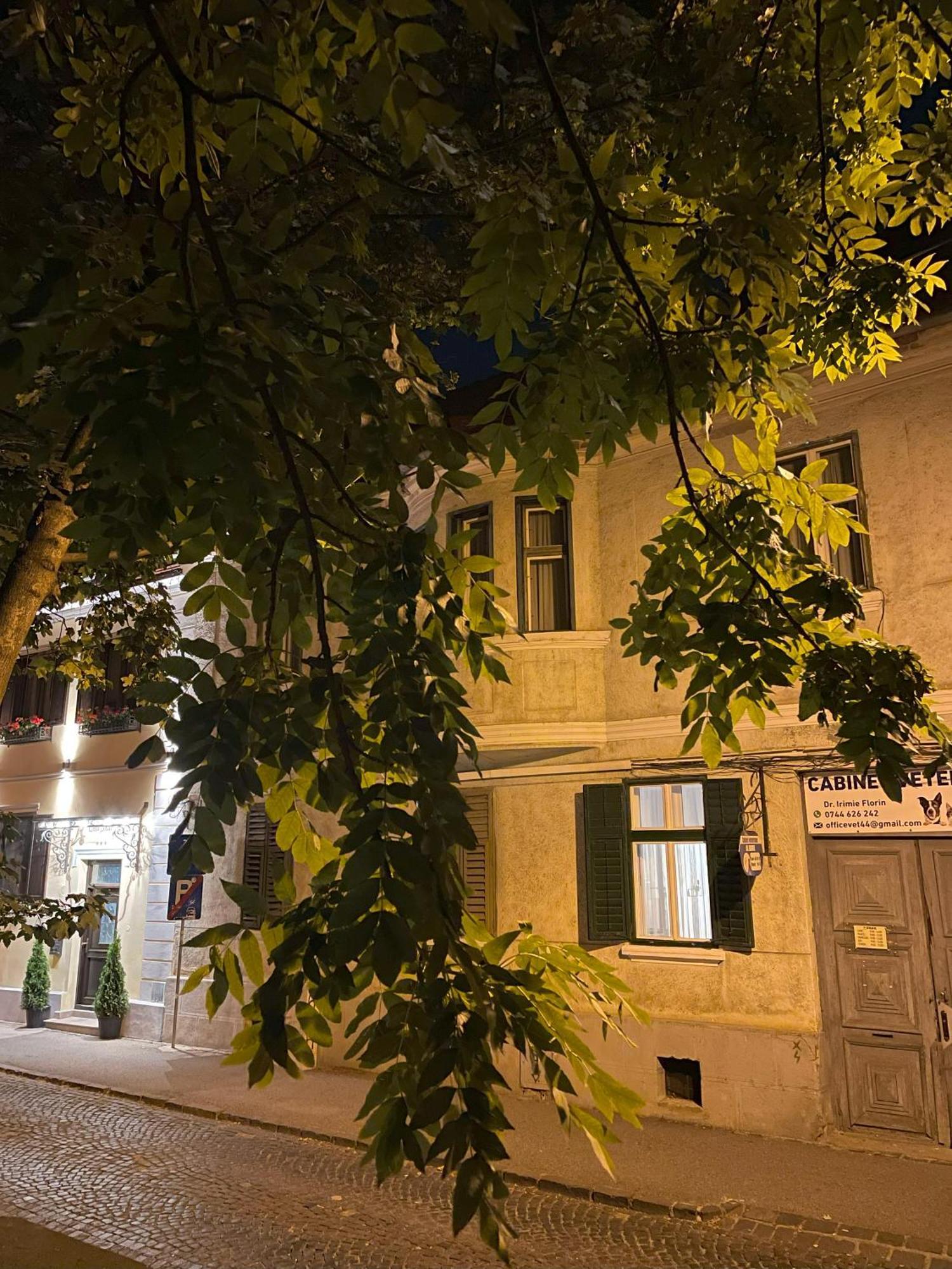 Studiopro44 Sibiu Dış mekan fotoğraf